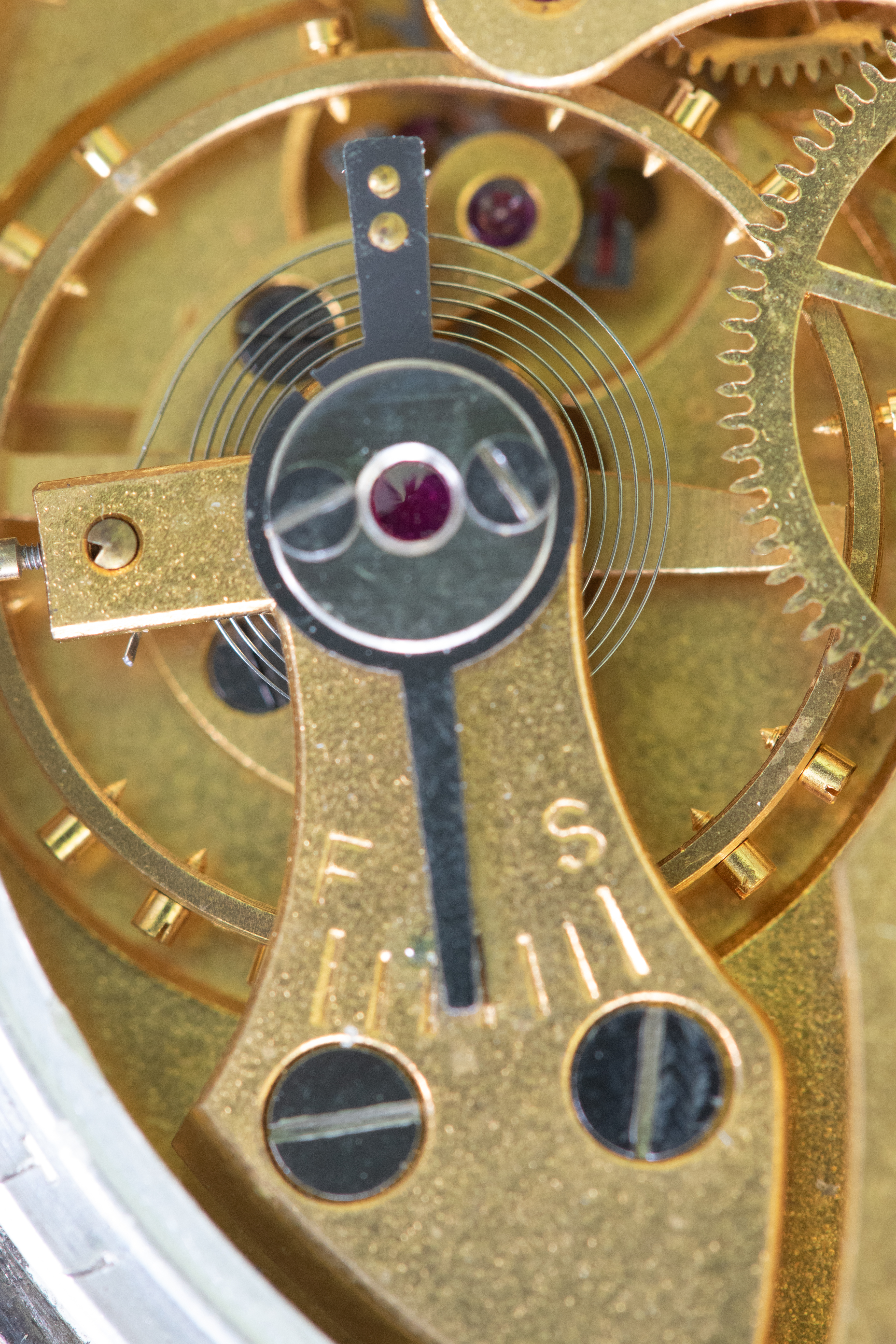 Pocket Watch internals