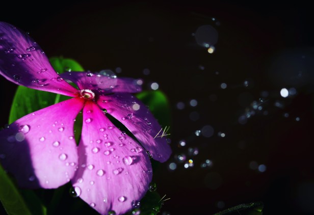 26E0B639-47B3-4718-A44D-B38B8C7E7C23